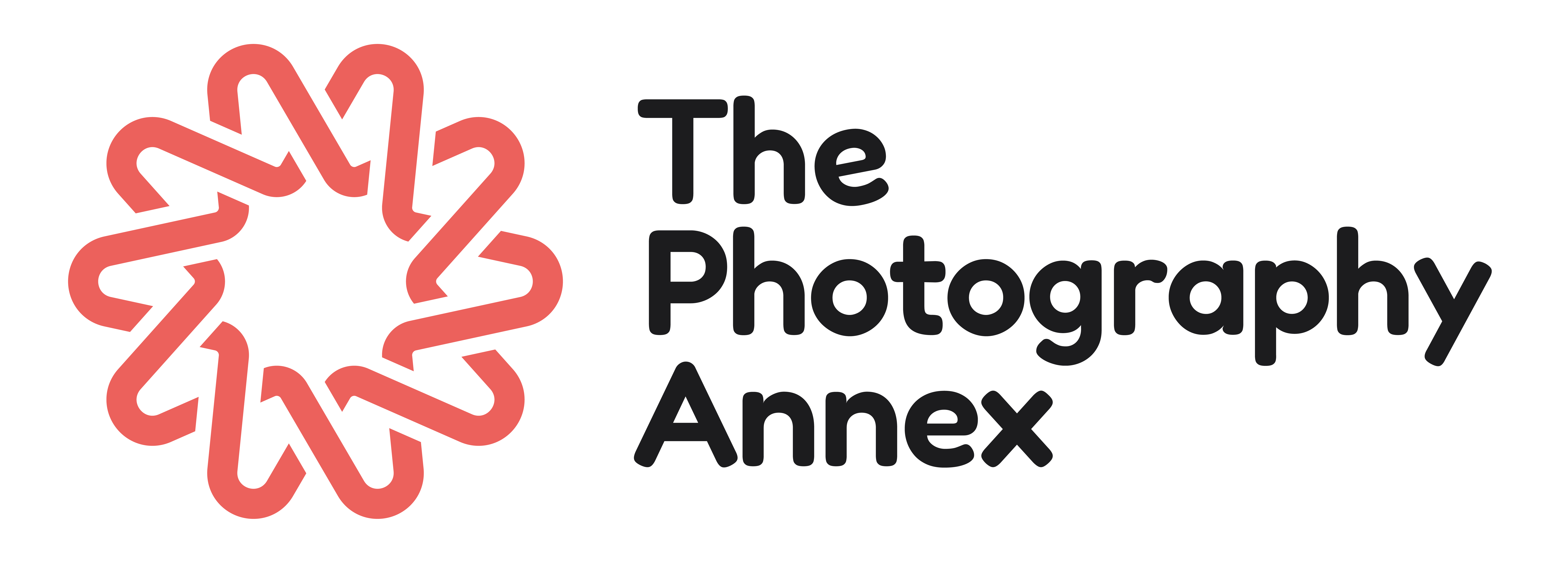 Full primary logo with icon and 'The photography Annex' text