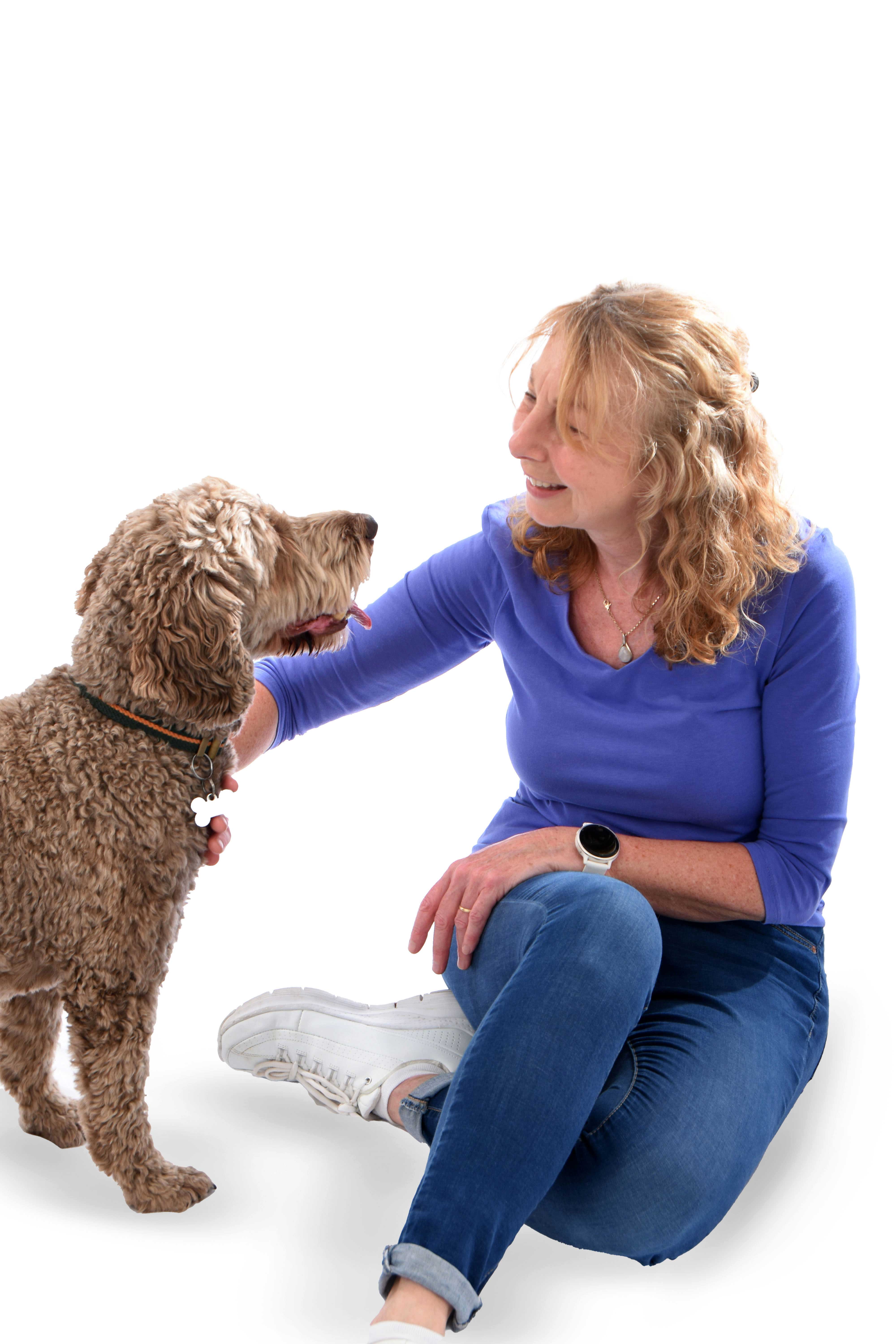 Barney the brown cockerpoo and owner Helen in the studio facing each other white background 