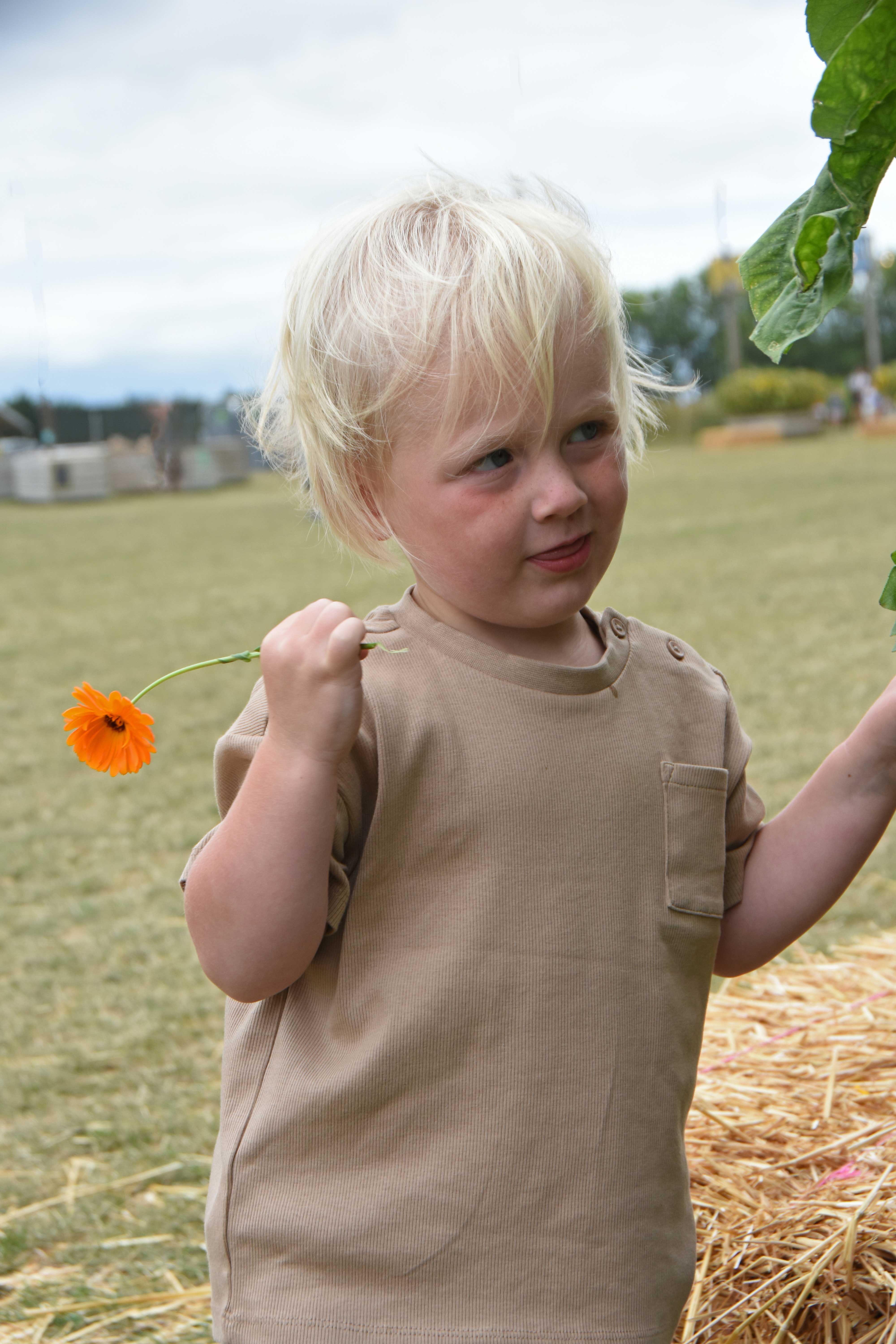 Archer age 3 looking cheeky with orange wild flower in hand