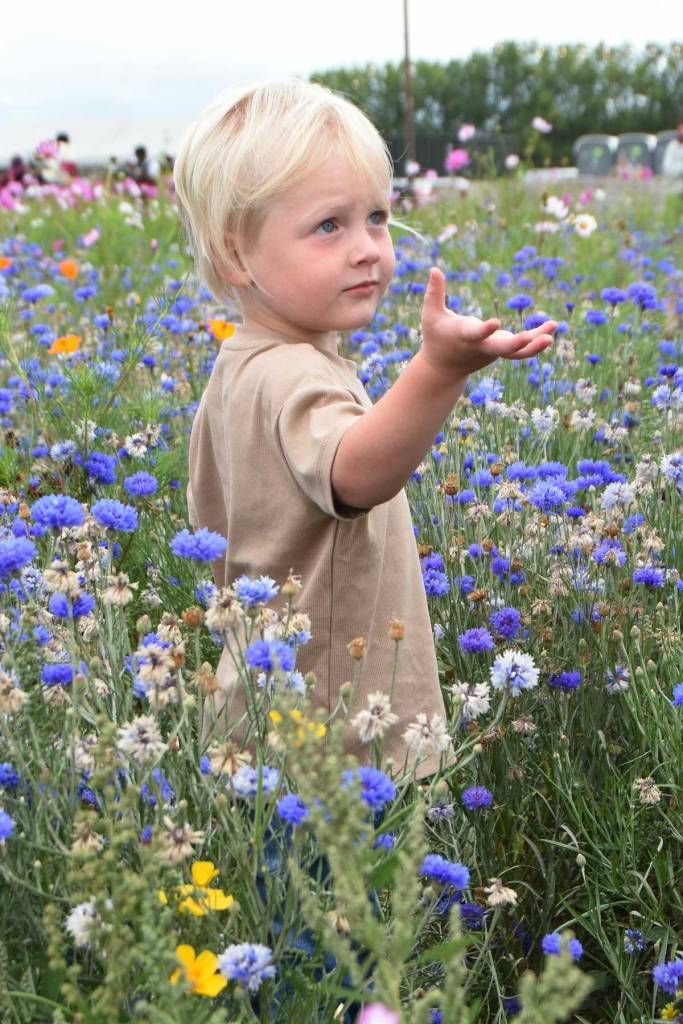 Archer age 3 candid in wild flowers